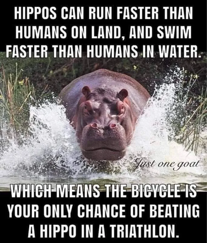 Ce qui veut dire que le vélo reste votre seule chance de battre un hippopotame dans un triathlon.