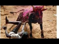 Funny bullfighting festival 2020