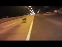 Bug dans la matrice