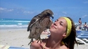 Oh le joli oiseau