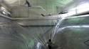 Un monde en plastique