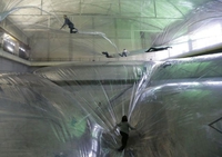 Un monde en plastique