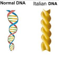 À gauche, un ADN normal, à droite, celui d'un Italien
