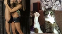 Lève la patte