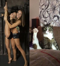Lève la patte