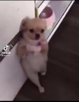 Ça va bien se passer 