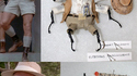 Des insectes déguisés en personnages de Jurassik Park