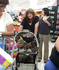 Pendant ce temps, à Walmart...