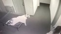 Selfie à la table de ping-pong
