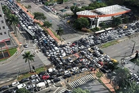 Où tu te dis que la 6e exctinction de masse arrive ...