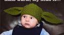 Bonnet Yoda