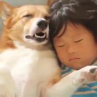 Une petite sieste. 