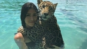 Le bain du jaguar