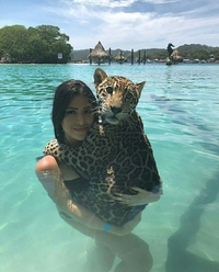 Le bain du jaguar