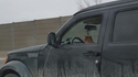 Cat Jacking