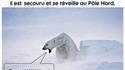 Petit Ours Brun