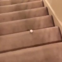 Kan tu t'ennuies en confinement