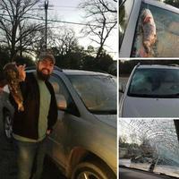 Quand un oiseau lache le poisson qu'il tenait dans son bec sur ta caisse.