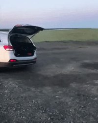 L'art de _ presque _ s'auto-guillotiner