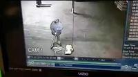 Mi Menage mi ninja 