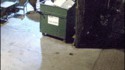 Le shopping de l'ours