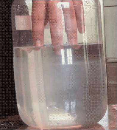 Un homme met sa main dans un bocal rempli de liquide d'Acétate de sodium. Le liquide réagit aux cristaux sur sa main, provoquant une cristallisation autour de sa main.