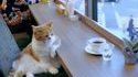 Dur le matin