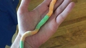 Oh bordée de nouille de zut de flûte, ça existe ...