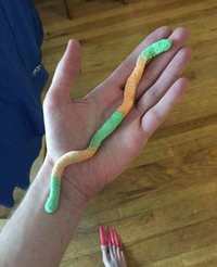 Oh bordée de nouille de zut de flûte, ça existe ...