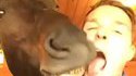 Adjectif ! Il roule des pelles à un cheval