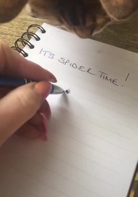 Dessin hyper-réaliste