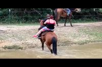 Le Nouveau Western