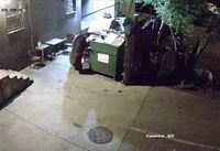 L'attaque des poubelles et des ours