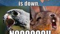 StarFox est tombé