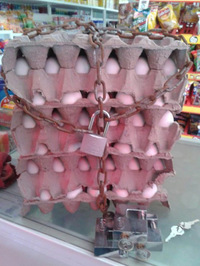 Oeufs sous protection