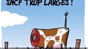 Quand les vaches regardent passer les trains