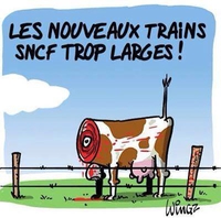Quand les vaches regardent passer les trains