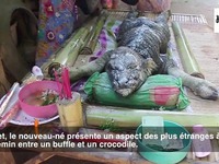 Vrai ou faux ? vous avez 4h ...