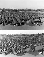 Troupes bosniaques enrôlées dans la SS