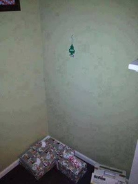 Cette année, j"étais financièrement limité pour le sapin