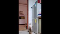 Mission impossible ?