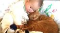 Les chats et les bébés drôles