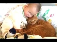 Les chats et les bébés drôles