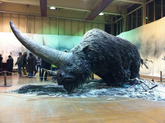L'Elasmotherium, aussi surnommé « licorne géante » ou licorne de Sibérie, est un genre éteint de rhinocérotidés qui a vécu en Asie et en Europe de la fin du Pliocène jusque vers la fin du Pléistocène, c'est-à-dire il y a environ entre −2,6 millions d'années et −26 000 ans.

Ces animaux pouvaient peser près de 3 600 kg et mesuraient jusqu'à 4 mètre 50 de long pour 1 mètre 80 de haut.