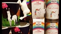 Le thé de Mello