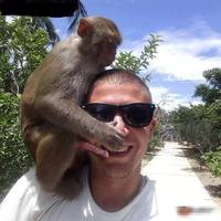 Selfie avec un singe