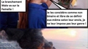Le courant électrique...