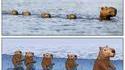 tout s'explique !