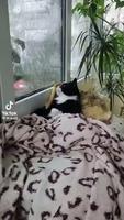 Un été sous la couette