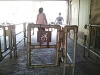 le portillon divin : lève-toi... et marche.